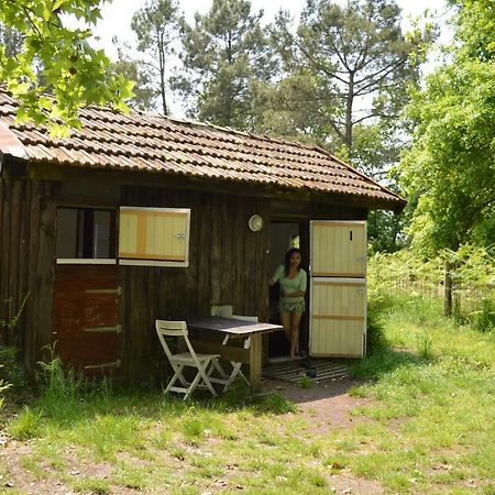 Cabane En Foret Onesse-et-Laharie エクステリア 写真