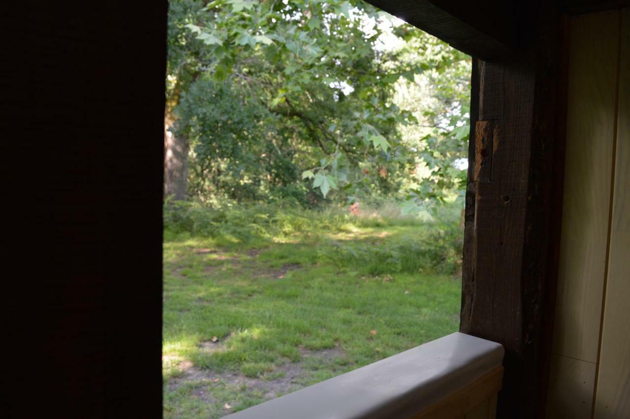 Cabane En Foret Onesse-et-Laharie エクステリア 写真