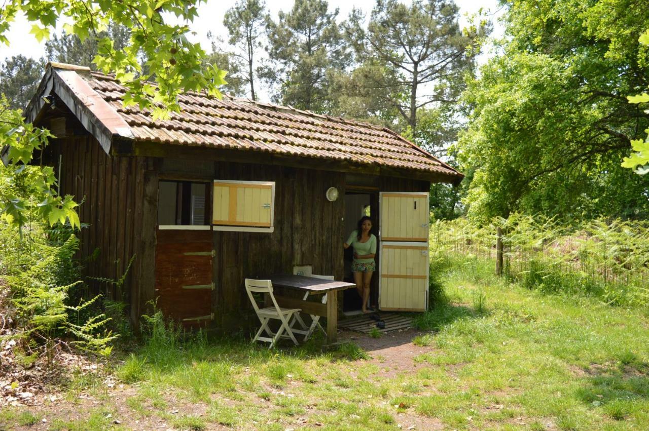 Cabane En Foret Onesse-et-Laharie エクステリア 写真