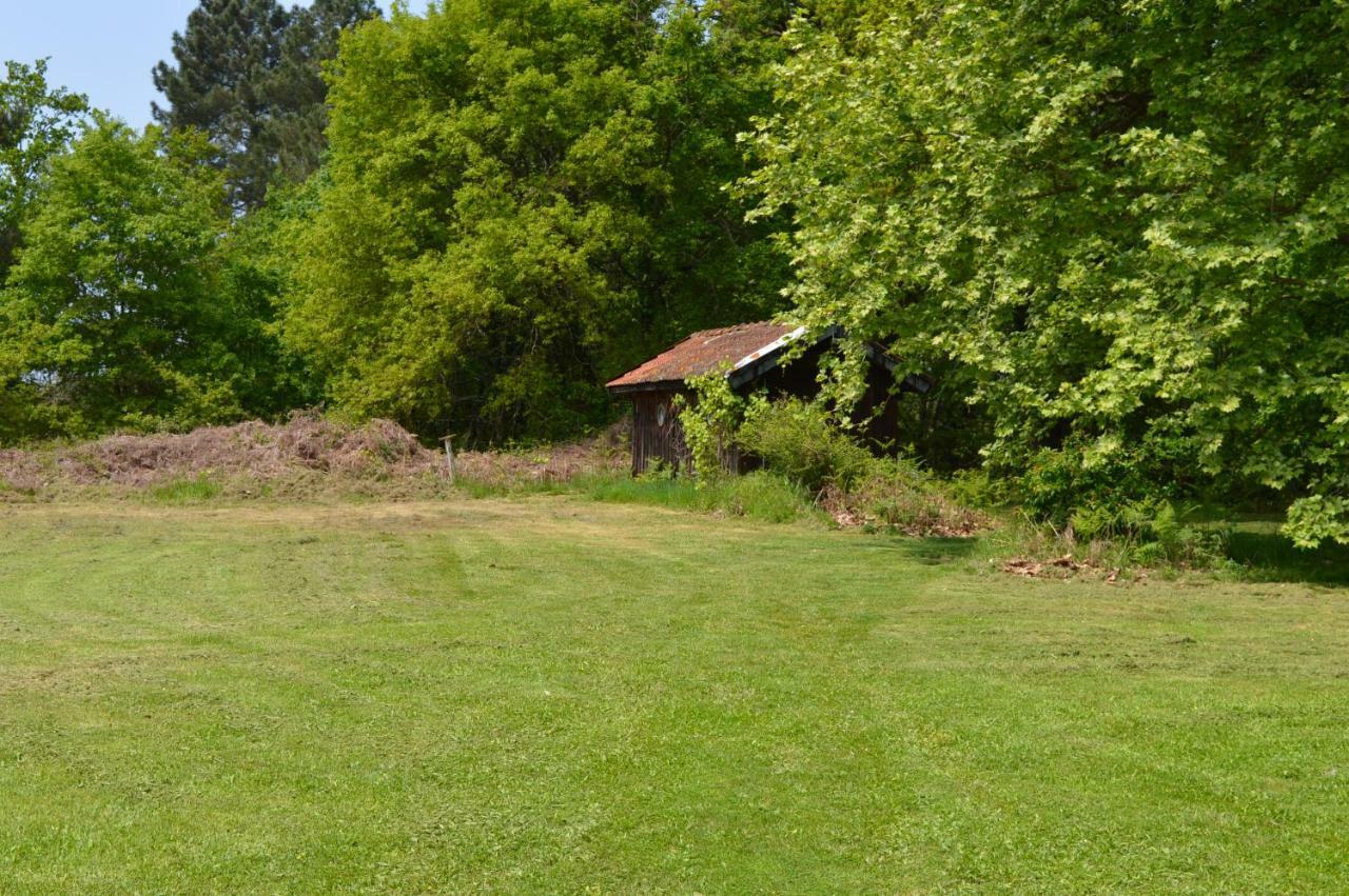 Cabane En Foret Onesse-et-Laharie エクステリア 写真