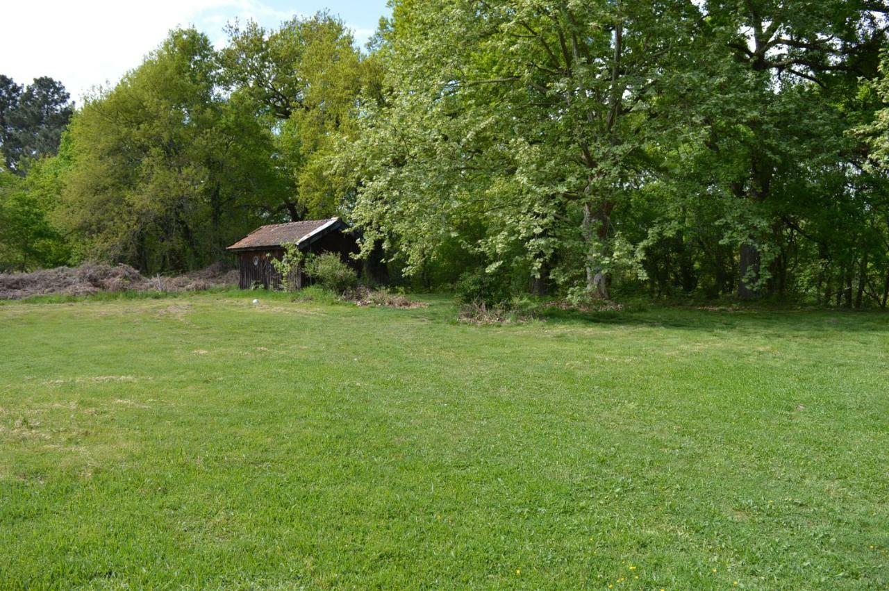 Cabane En Foret Onesse-et-Laharie エクステリア 写真