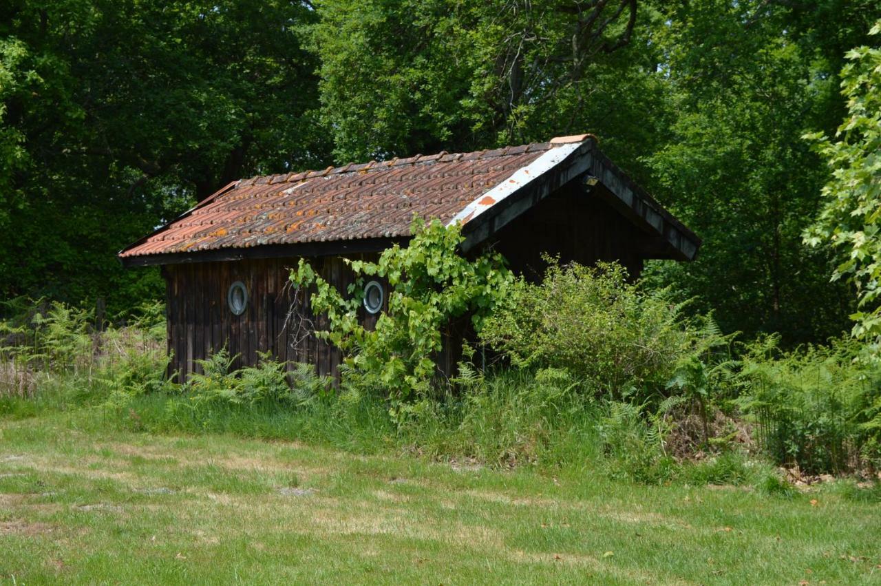 Cabane En Foret Onesse-et-Laharie エクステリア 写真