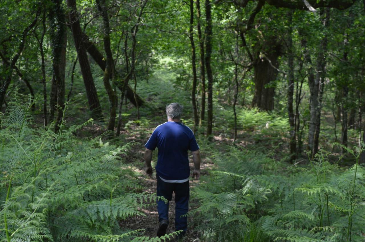 Cabane En Foret Onesse-et-Laharie エクステリア 写真