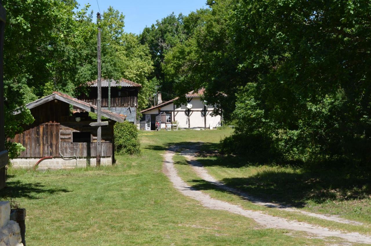Cabane En Foret Onesse-et-Laharie エクステリア 写真